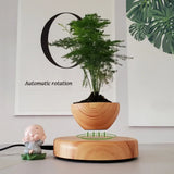 MagnoVase – Vaso Flutuante Magnético de Bonsai